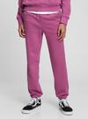 Pembe Teen Polar Jogger Eşofman Altı
