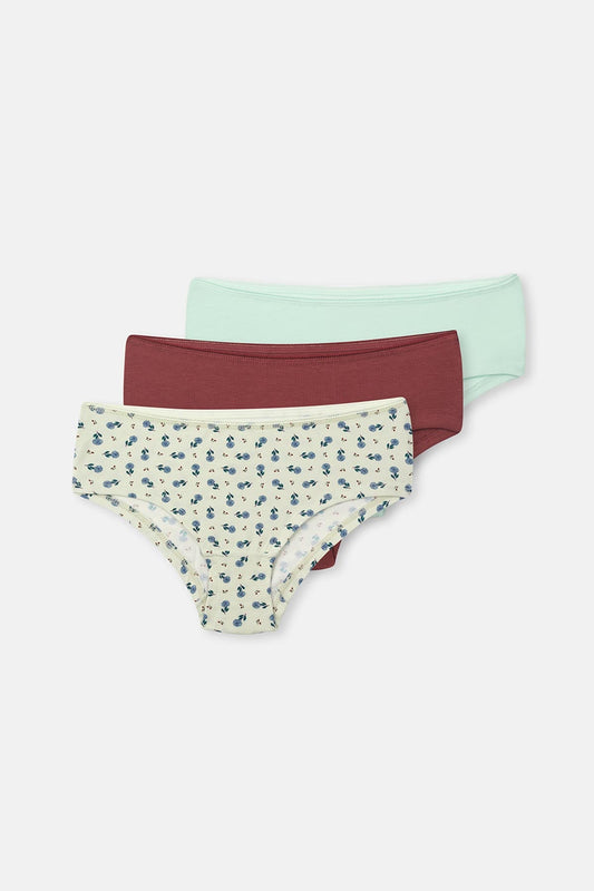 Gül Kurusu-mint Kadın 3'lü Desenli Hipster Külot