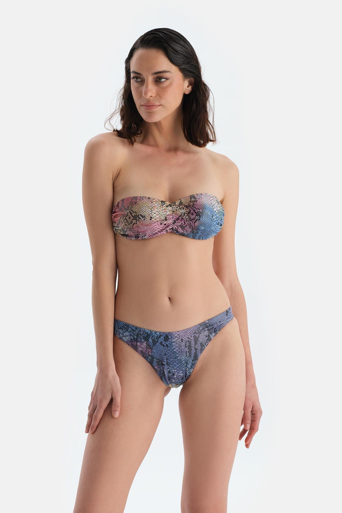 Multicolor Brazilian Bikini Alt