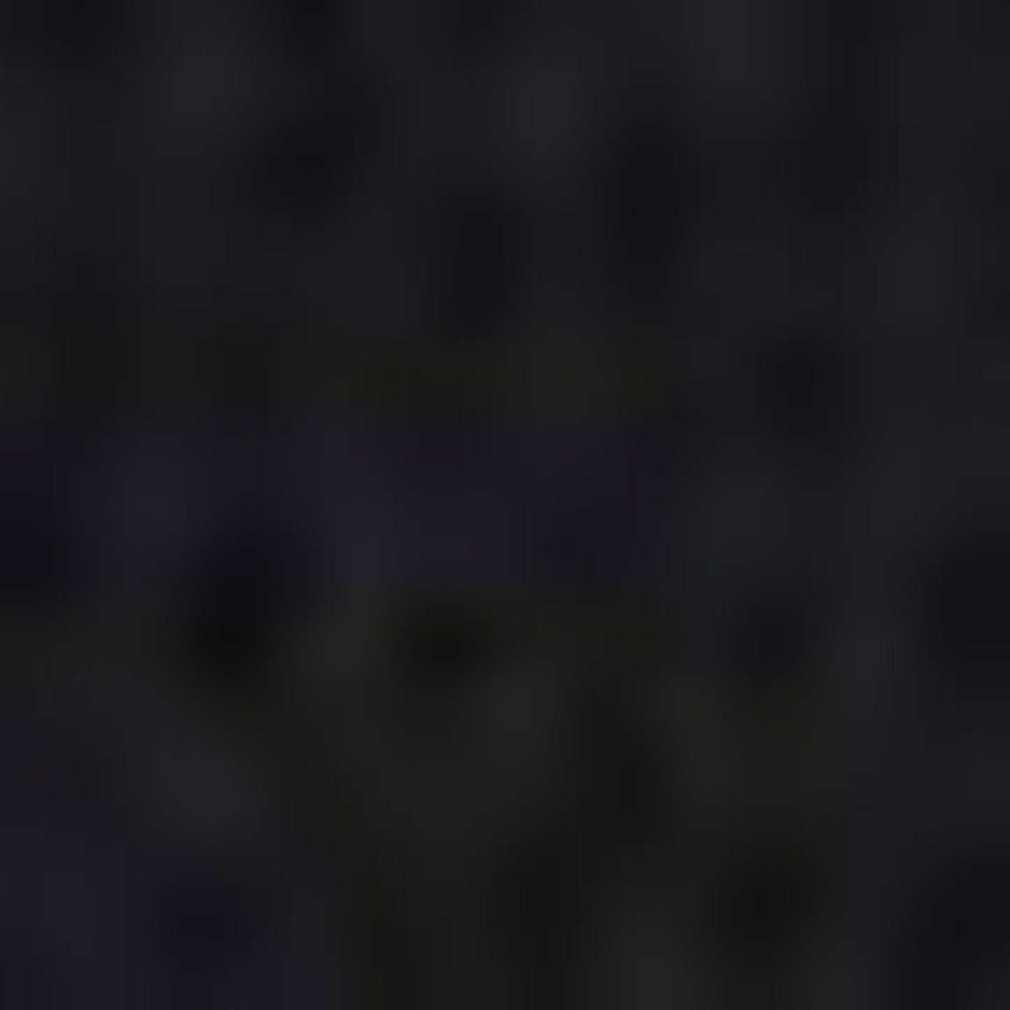 Nautica Erkek Siyah Classic Fit Sweatshirt