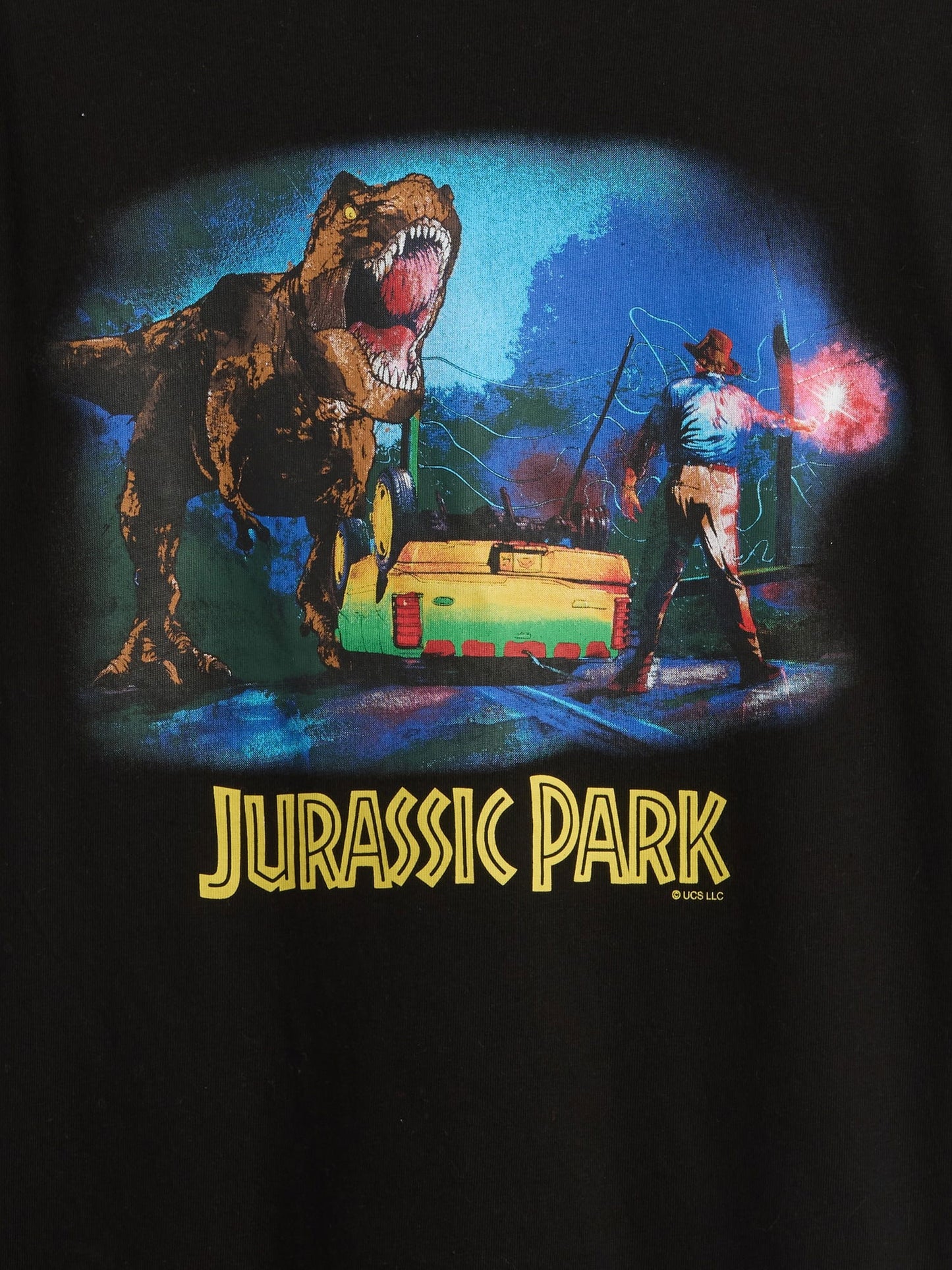 Siyah Heavyweight Organik Pamuk Grafik T-shirt