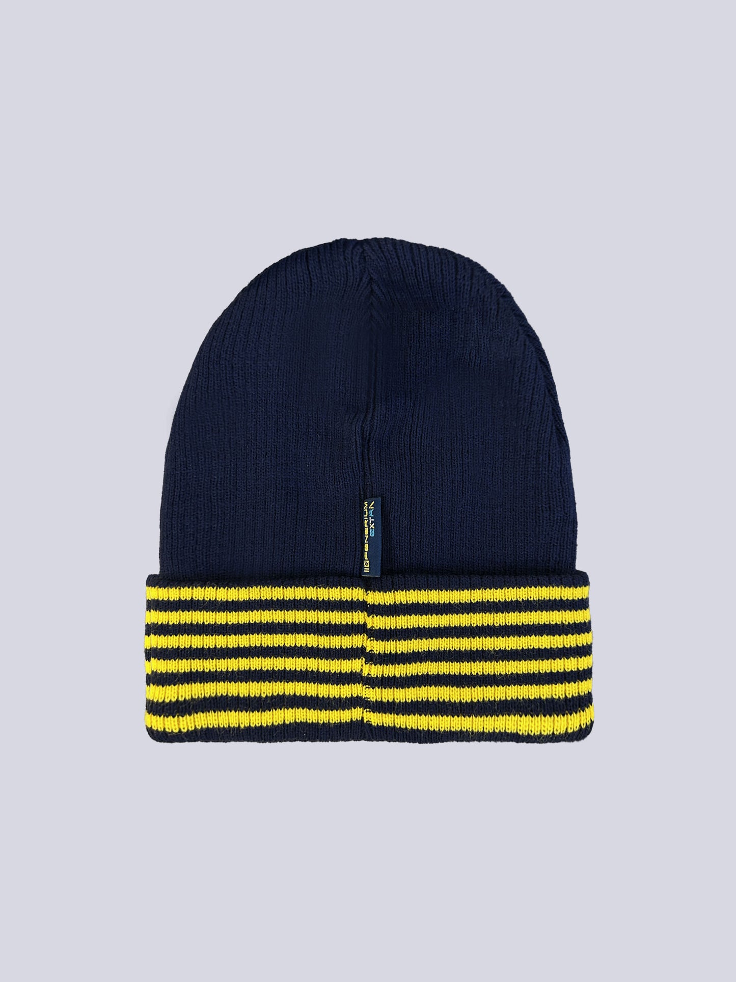 Fenerbahçe Lacivert Şerit Unisex Bere