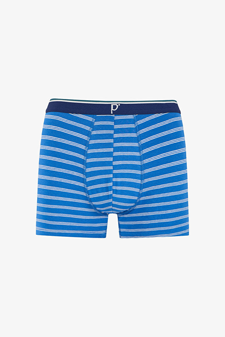 Erkek Renkli Blue Check Çoklu Boxer