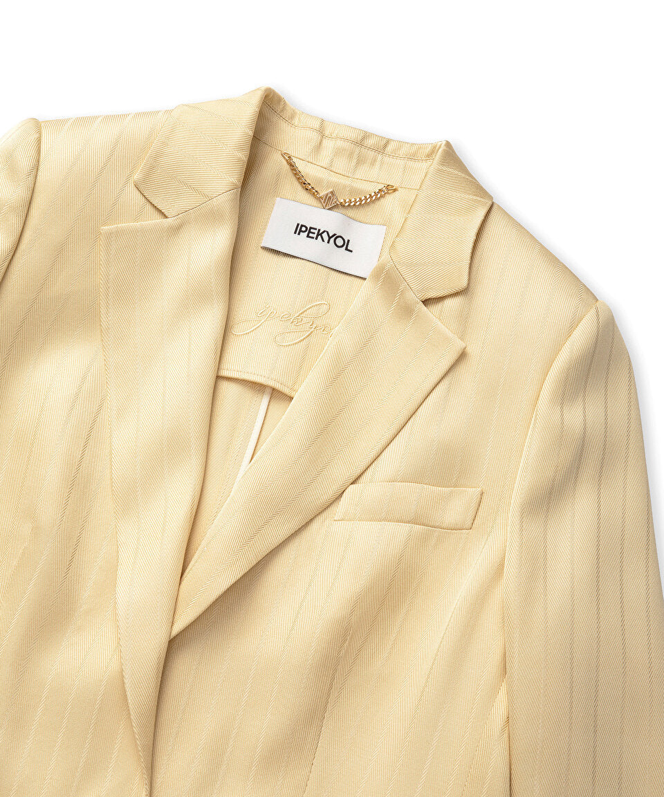 Sarı Çizgi Jakarlı Vatkalı Blazer Is1260106012984 | Ipekyol