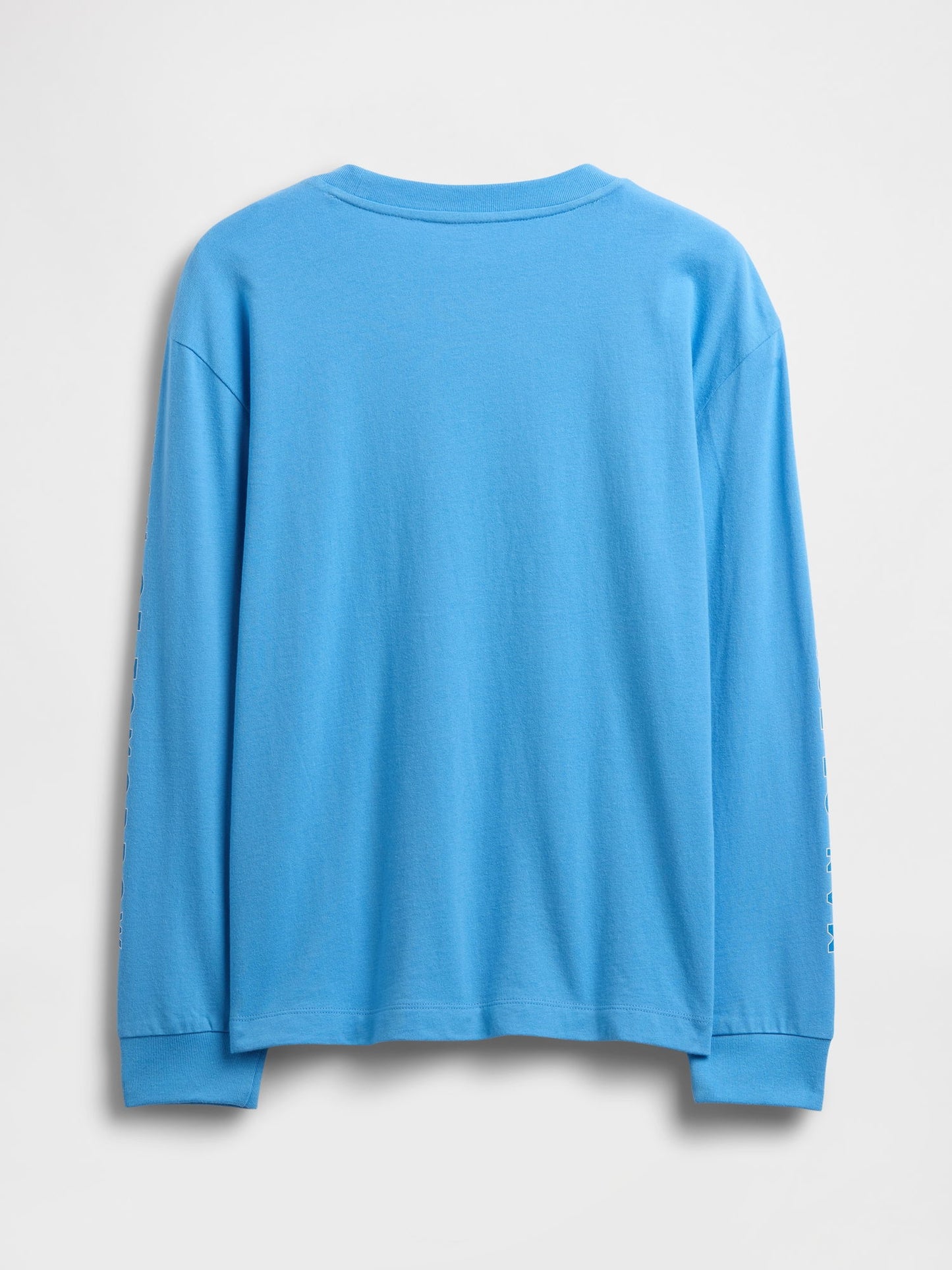 Açık Mavi Dc™ Relaxed Grafik Baskılı T-shirt