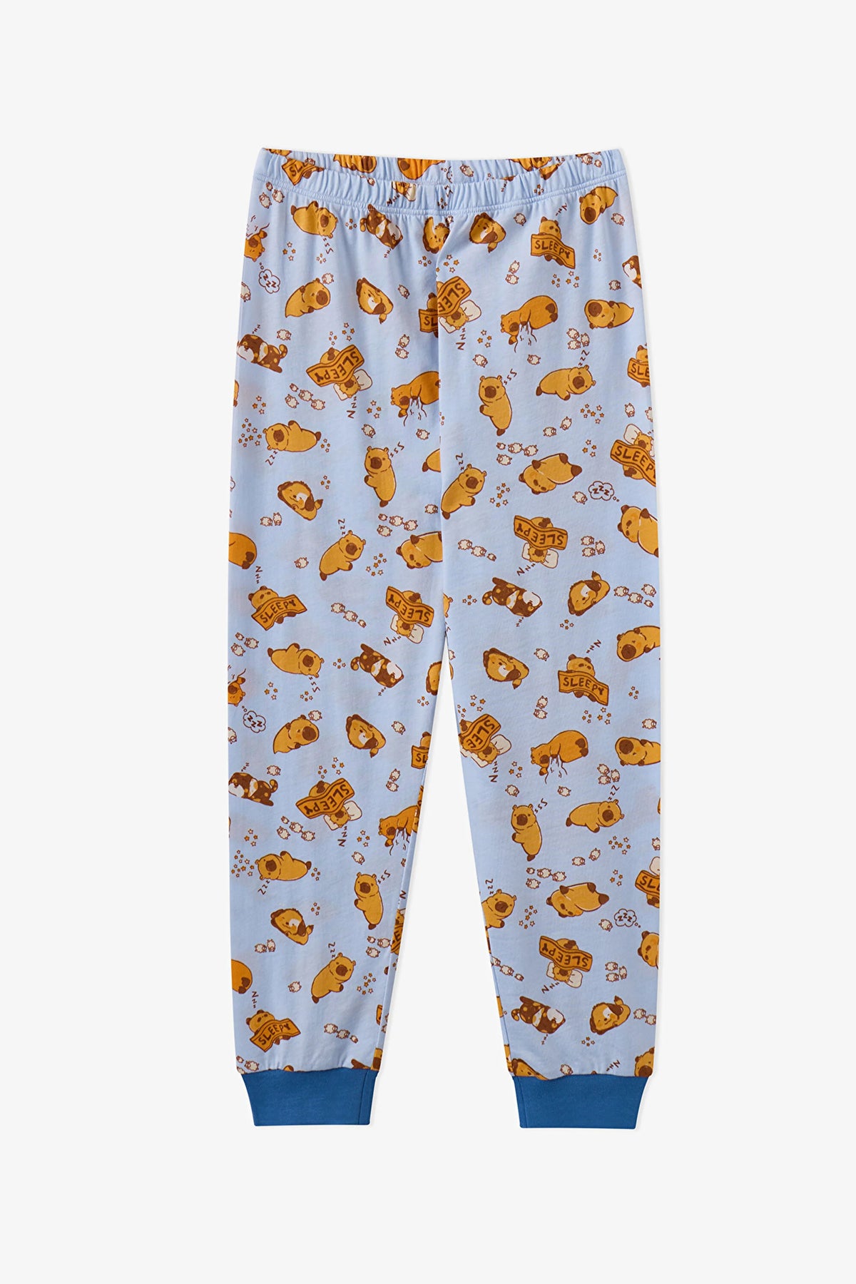 Erkek Çocuk Mavi Sleepy Club Pamuklu Uzun Kollu 2'li Pijama Takımı