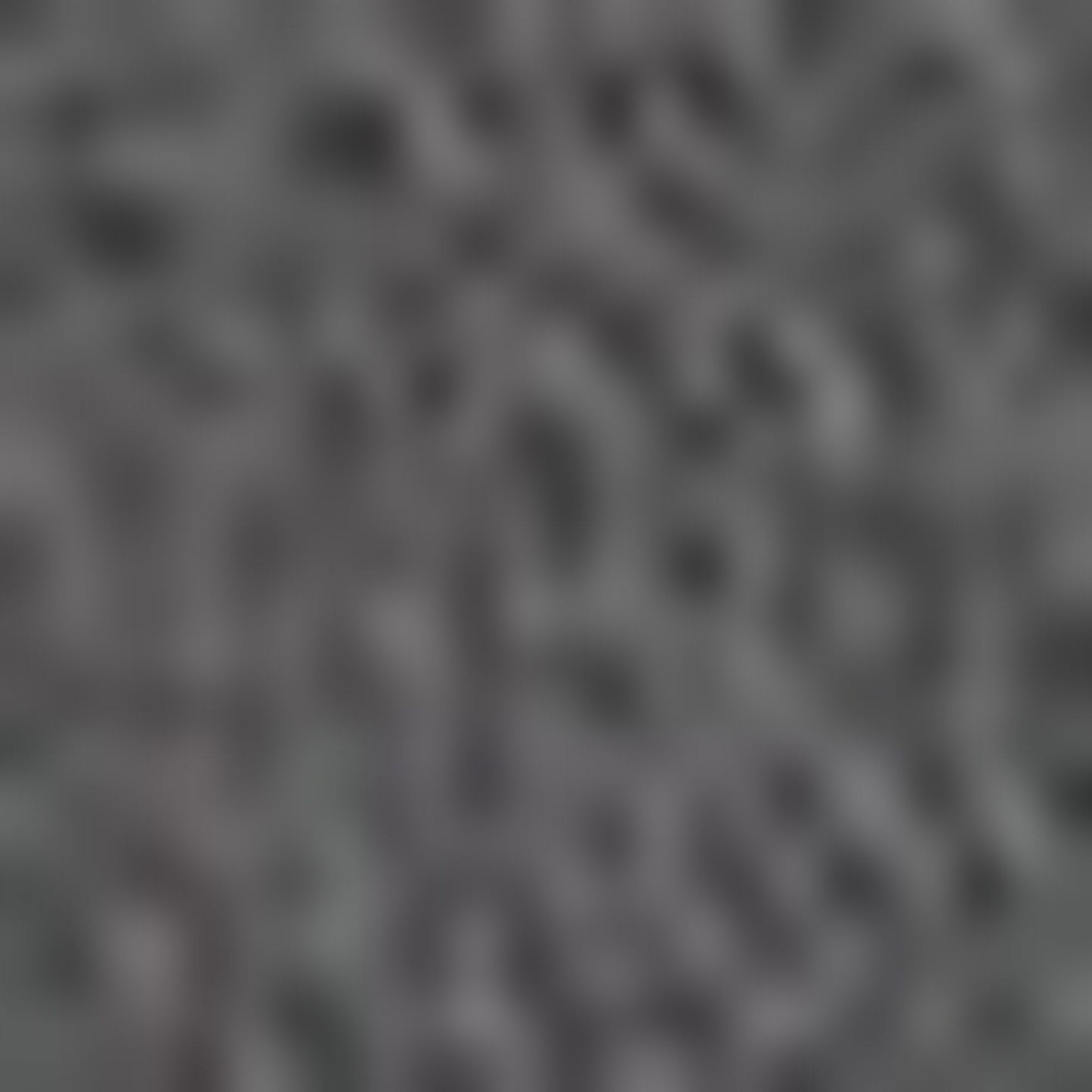 Nautica Unisex Gri Çorap