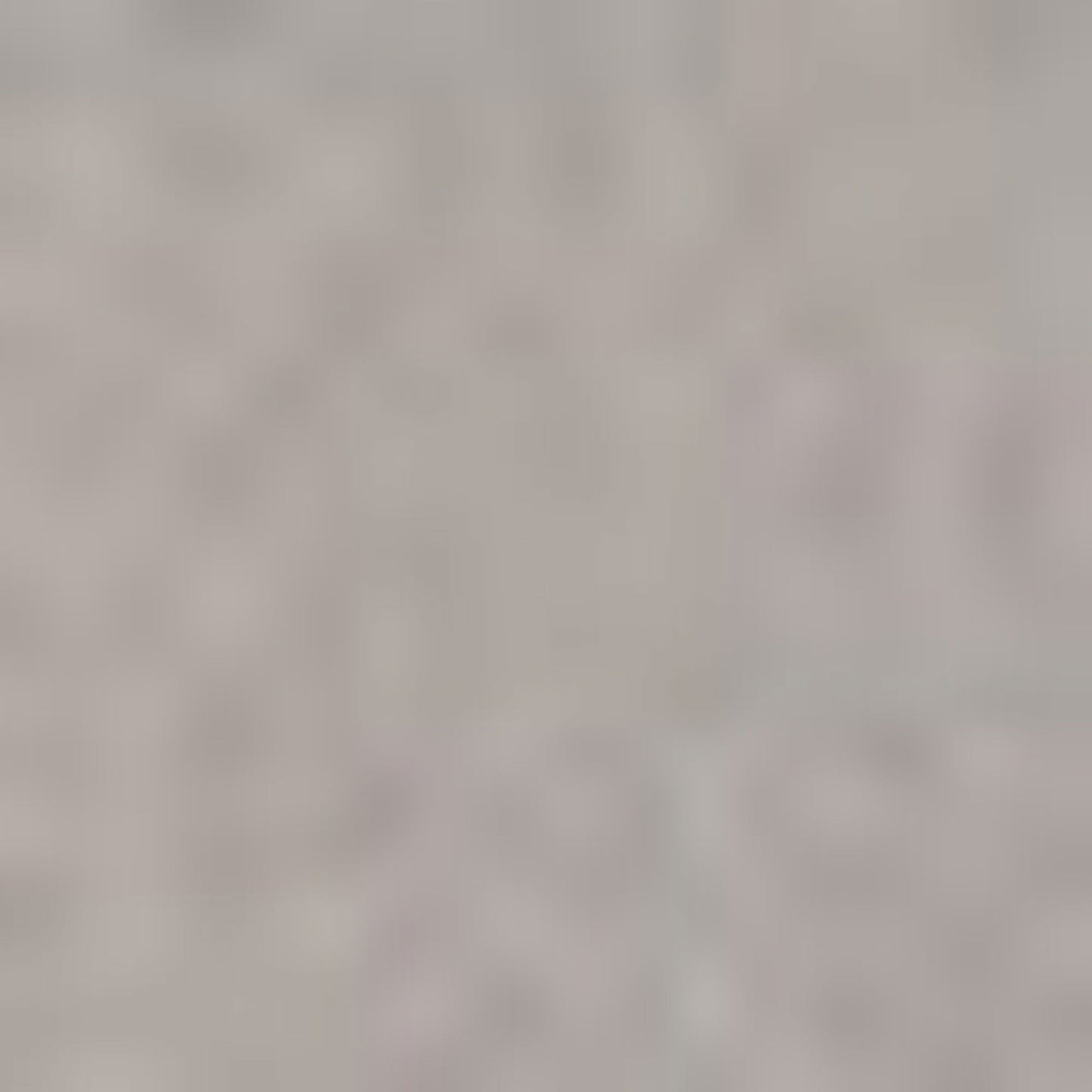 Nautica Unisex Siyah Çorap