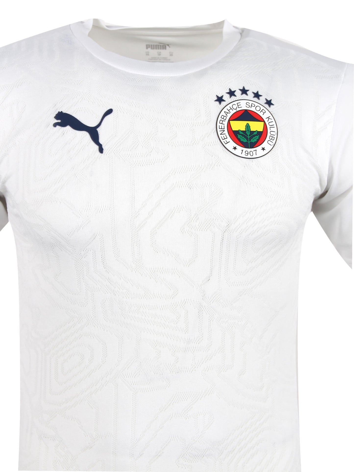 Fenerbahçe 2024/2025 A Takım Beyaz Hoca Antrenman Tshirt