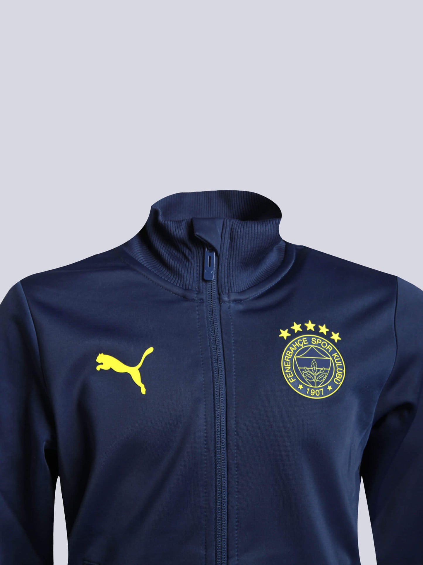 Fenerbahçe 2024/25 A Takım Özel Jr. Sweatshirt