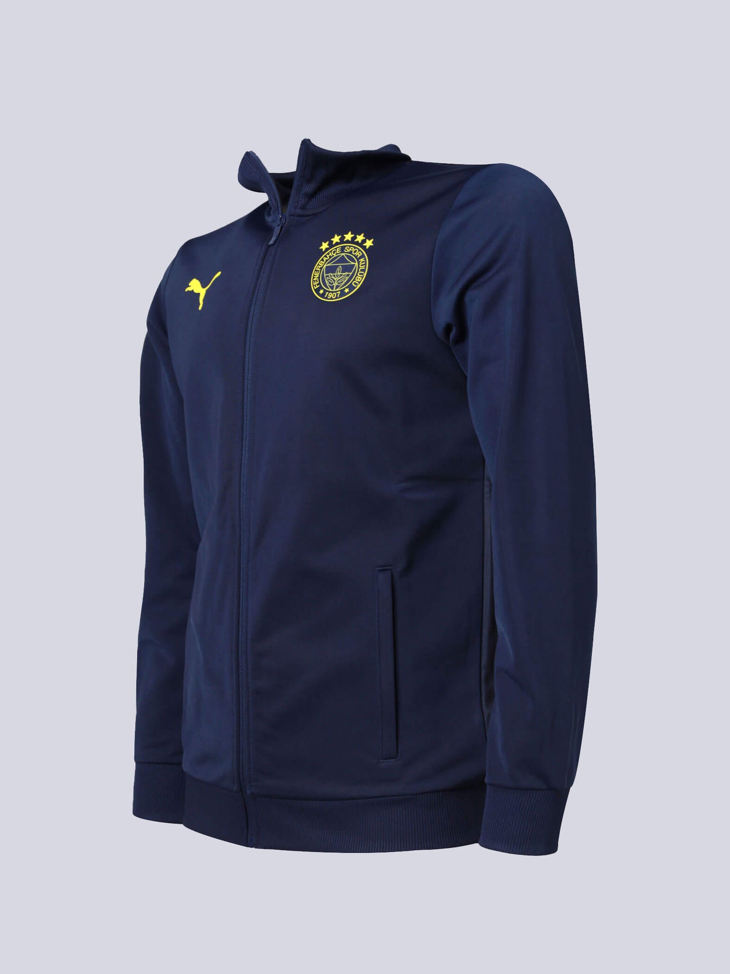 Fenerbahçe 2024/25 A Takım Özel Sweatshirt