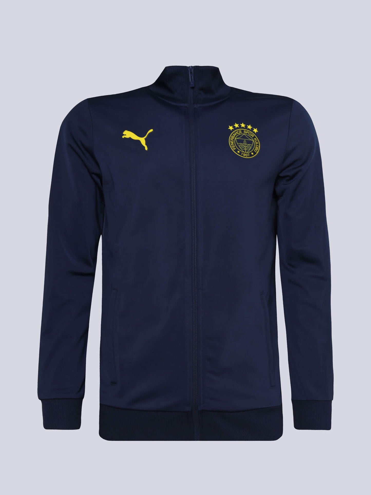 Fenerbahçe 2024/25 A Takım Özel Sweatshirt