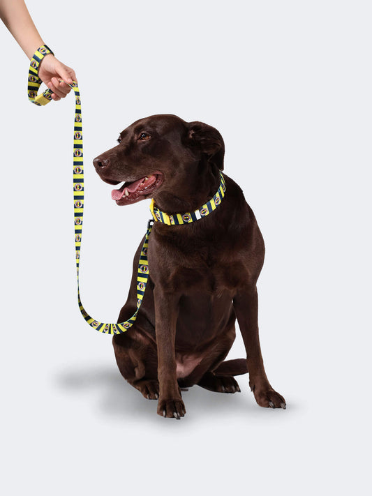 Fenerbahçe Sarı Lacivert Çubuklu Gezdirme Kayışı