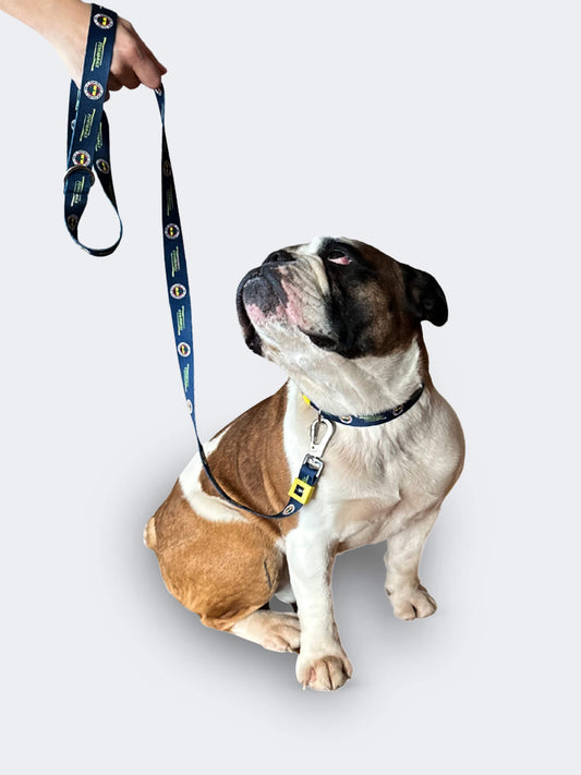 Fenerbahçe Lacivert Logo Gezdirme Kayışı