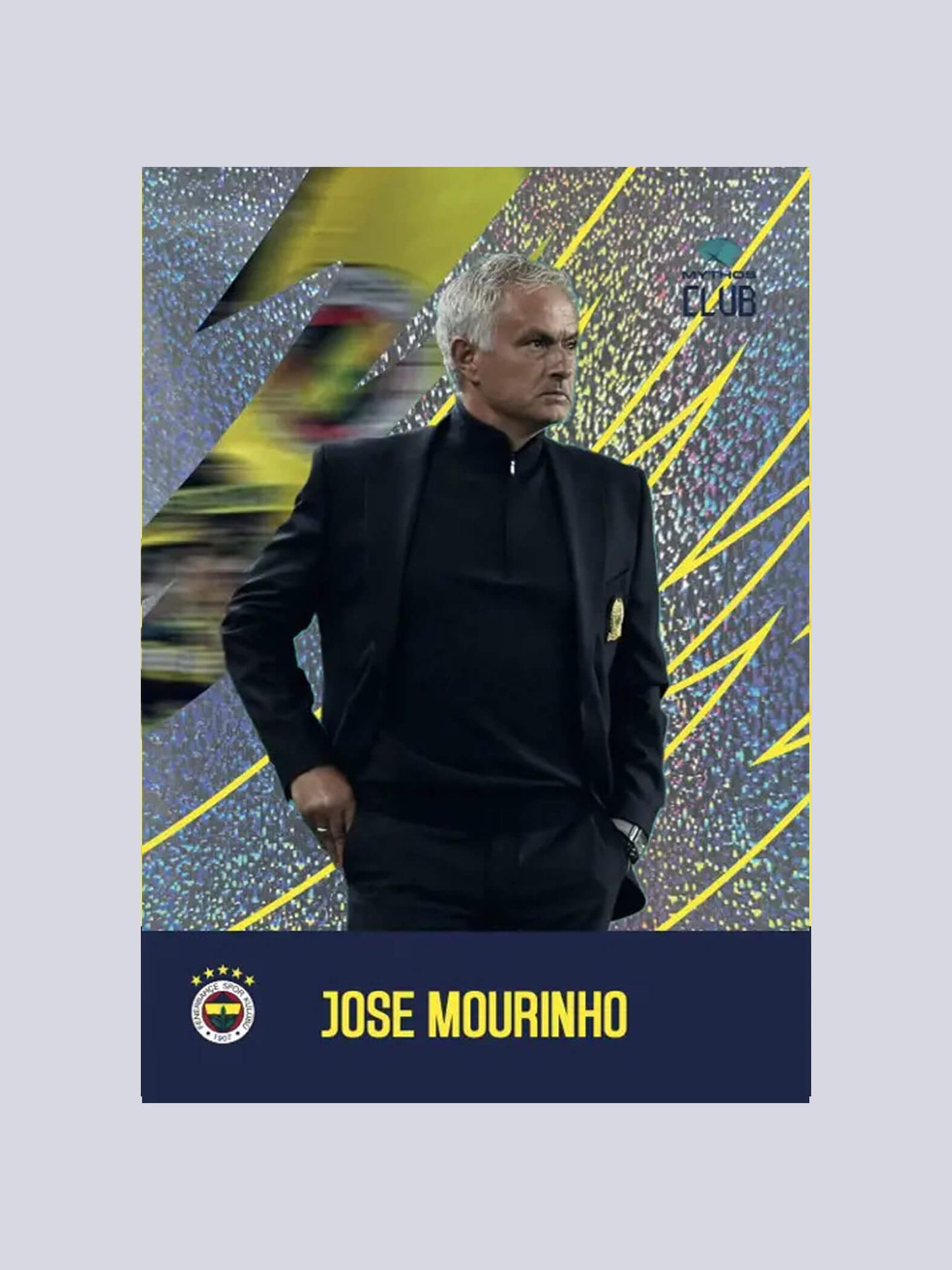 Fenerbahçe 2024/2025 Futbol 12 Adet Kart Seri Kutu