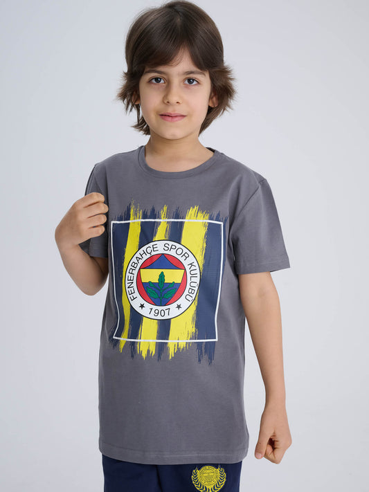 Fenerbahçe Gri Brush Çubuklu Tribün Çocuk Tshirt