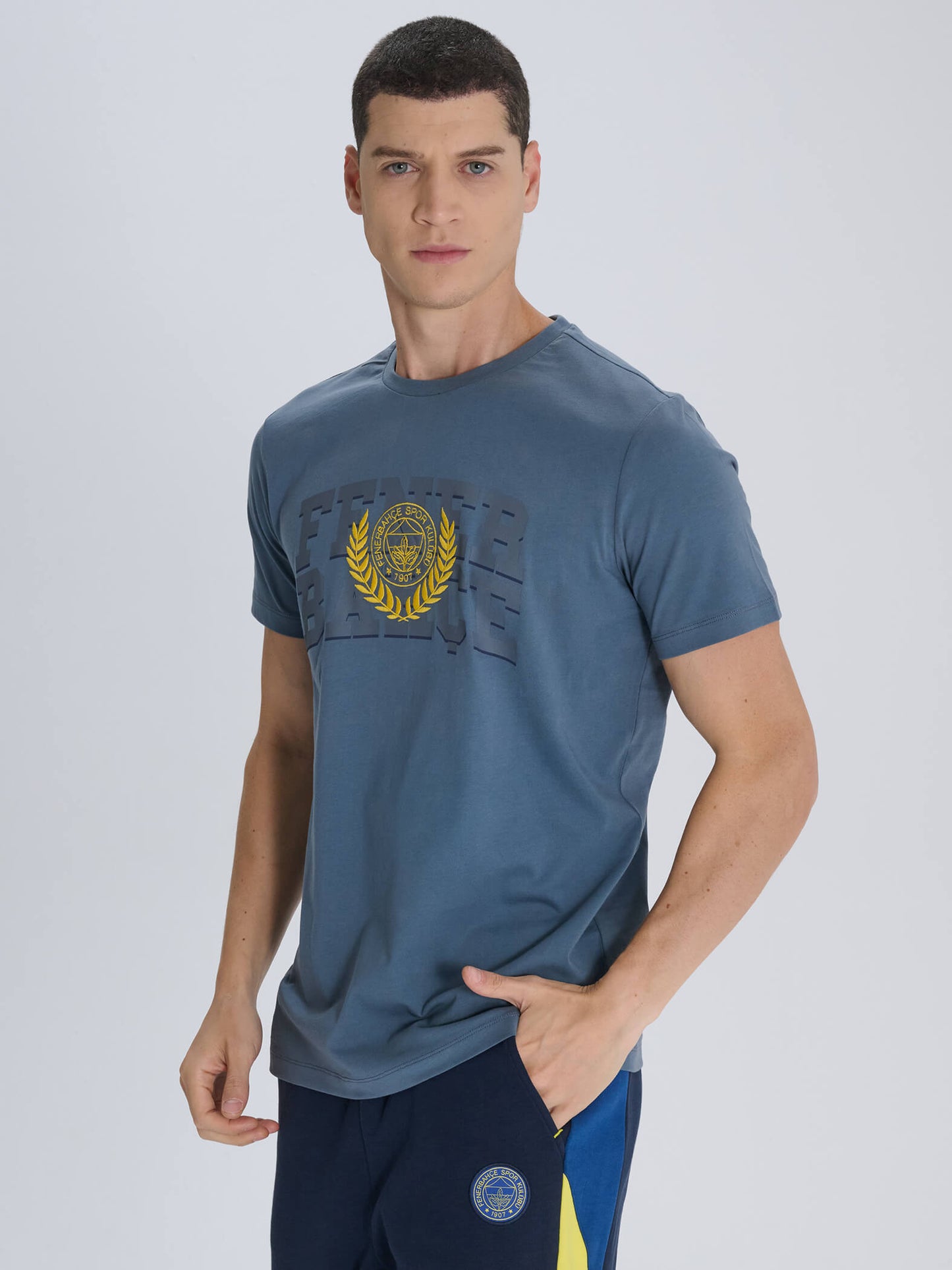 Fenerbahçe Gri Kolej Erkek Tshirt