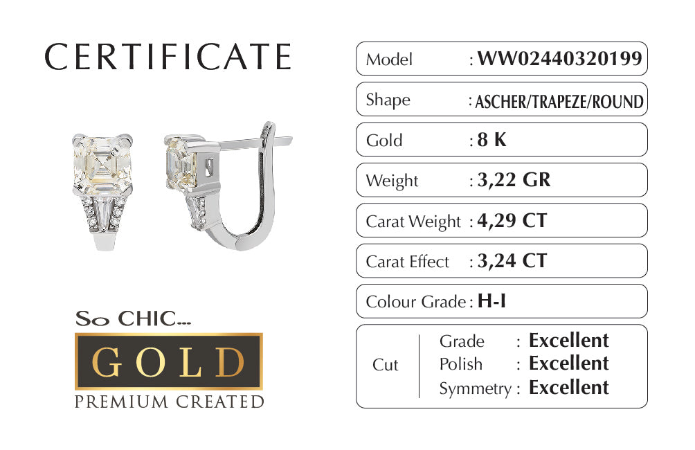 Beyaz Altın Sertifikalı Premium Created Ascher Kesim Taşlı Küpe Ww02460330199