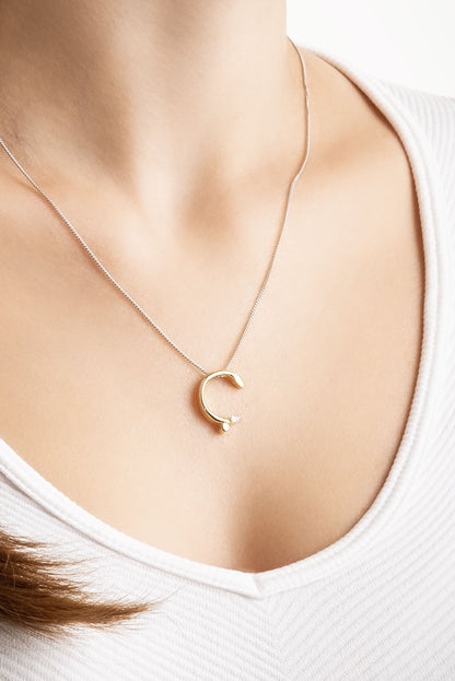 Asimetrik Ç Harfi 18 Ayar Beyaz Ve Sarı Altın Kaplama 45 Cm Gümüş Harfli Kolye 07302030144