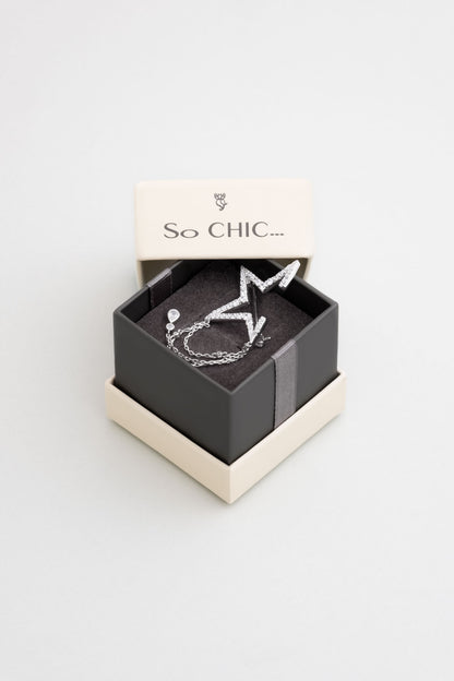 Cesaret Yıldızı 18 Ayar Beyaz Altın Kaplama Gümüş Broş 07304660199