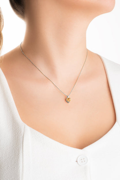 Gizemli Kalp 18 Ayar Beyaz Altın Kaplama 45 Cm Gümüş Kolye 07309069899