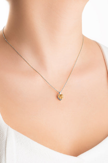 Gizemli Kalp 18 Ayar Beyaz Altın Kaplama 45 Cm Gümüş Kolye 07309069899