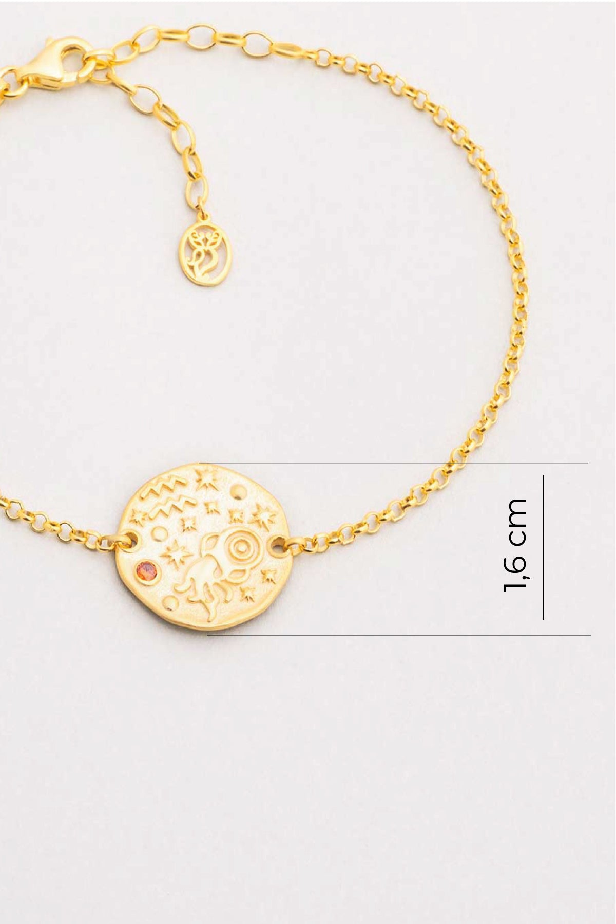 Kova Burcu 18 Ayar Sarı Altın Kaplama 20 Cm Gümüş Bileklik 07310300844