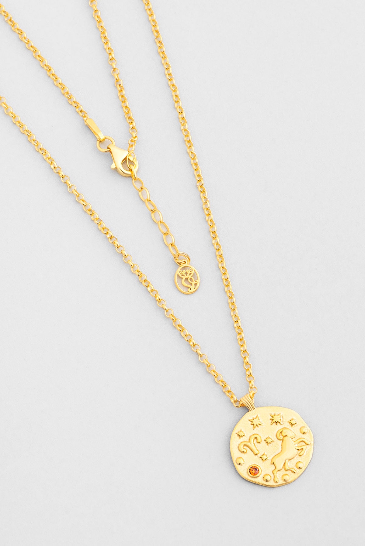 Koç Burcu 18 Ayar Sarı Altın Kaplama 45 Cm Gümüş Kolye 07310400944