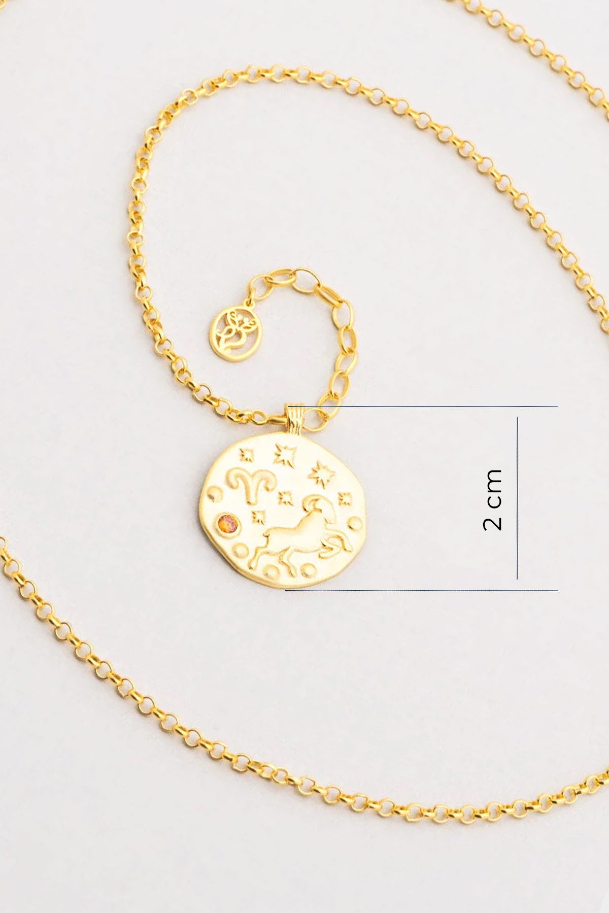 Koç Burcu 18 Ayar Sarı Altın Kaplama 45 Cm Gümüş Kolye 07310400944