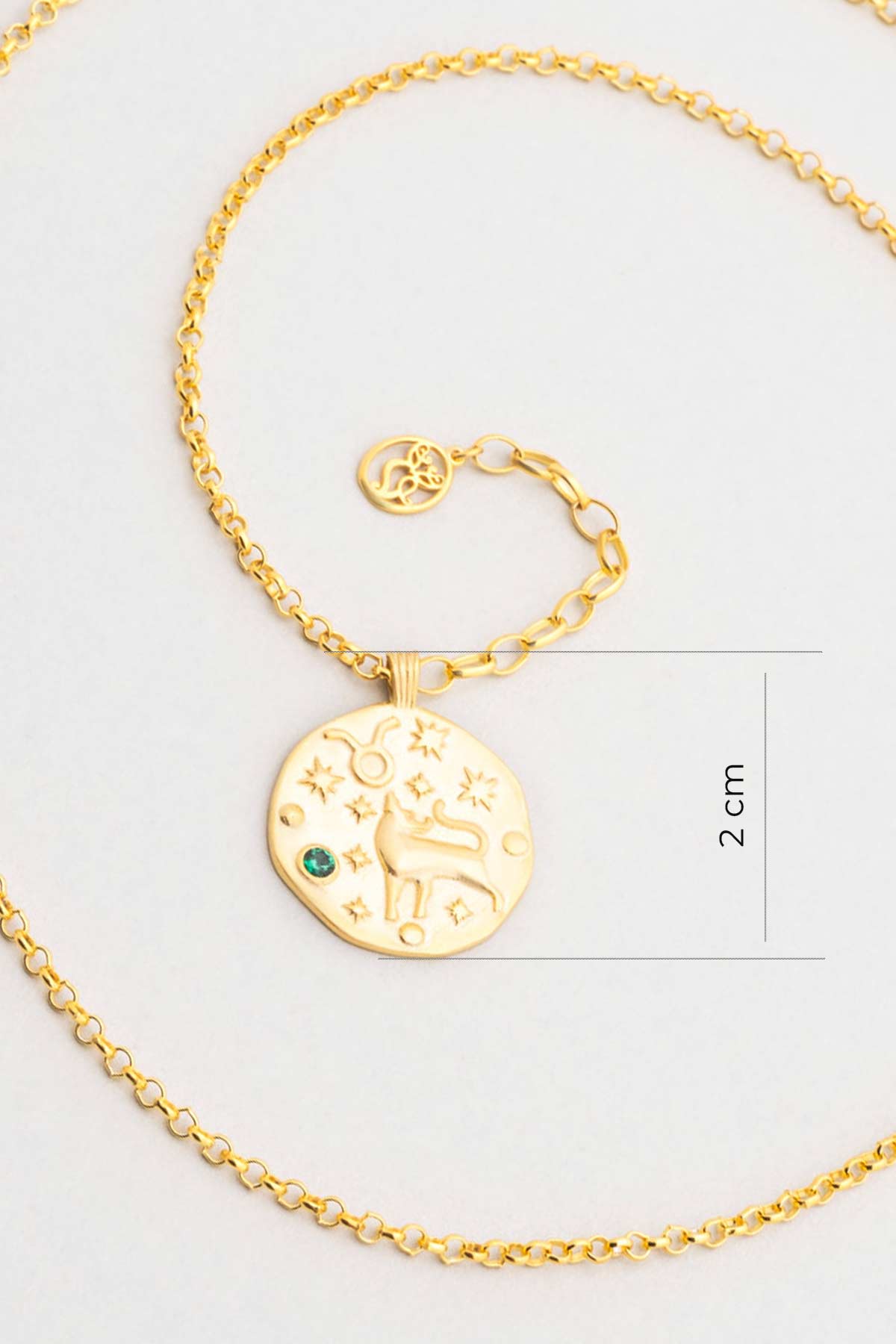 Boğa Burcu 18 Ayar Sarı Altın Kaplama 45 Cm Gümüş Kolye 07310410444