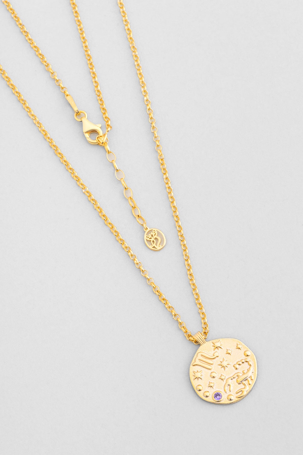 Akrep Burcu 18 Ayar Sarı Altın Kaplama 45 Cm Gümüş Kolye 07310478944