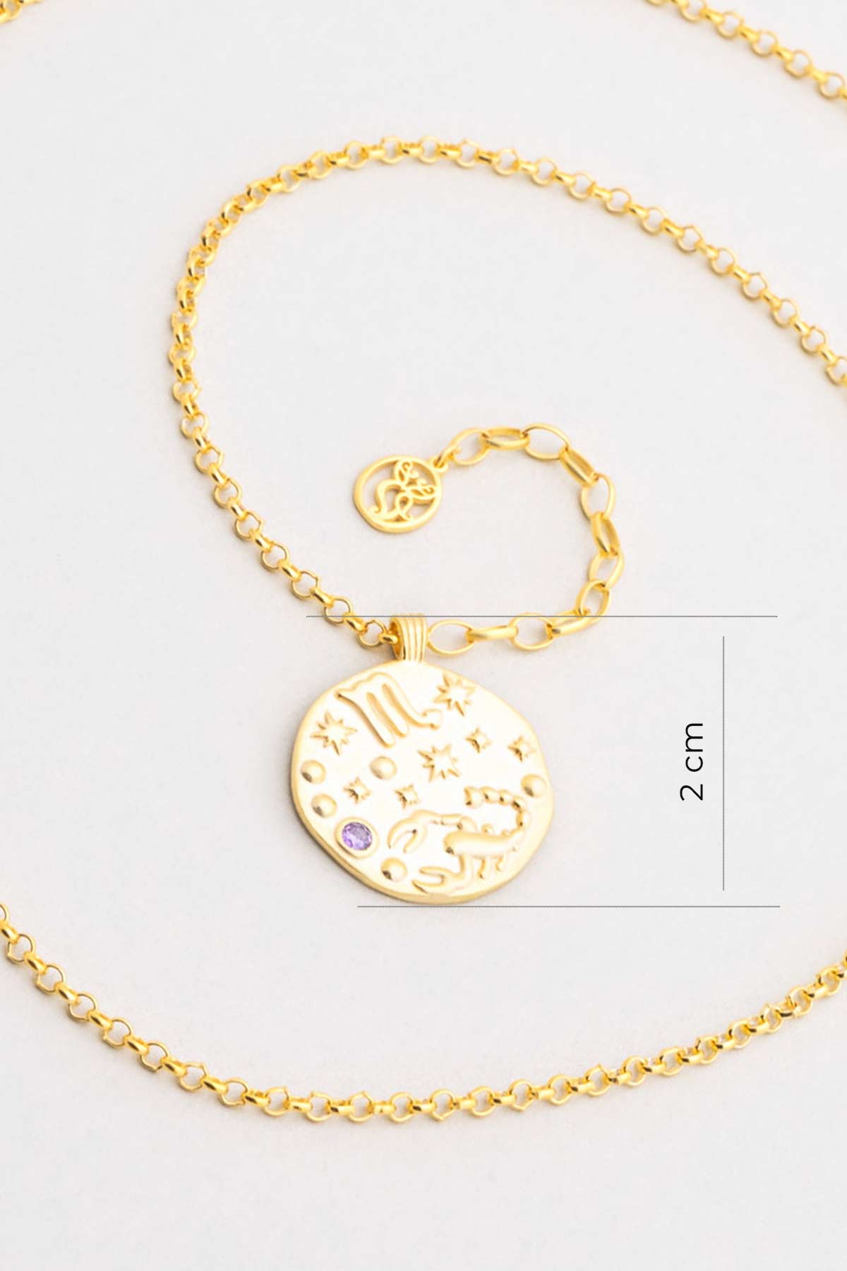 Akrep Burcu 18 Ayar Sarı Altın Kaplama 45 Cm Gümüş Kolye 07310478944