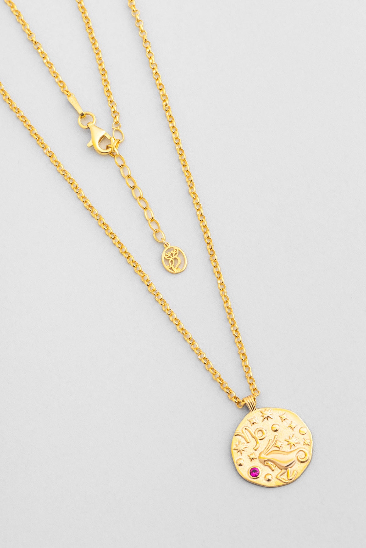 Oğlak Burcu 18 Ayar Sarı Altın Kaplama 45 Cm  Gümüş Kolye 07310497244