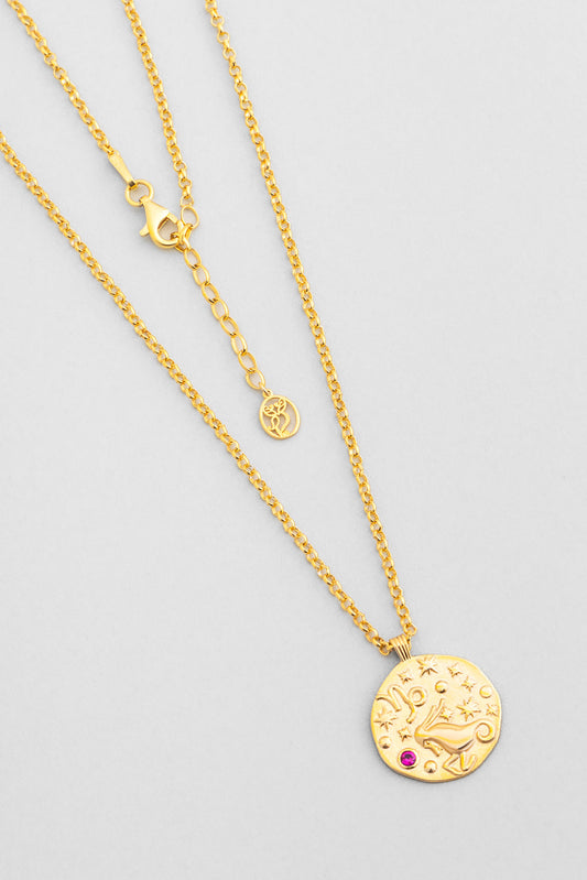 Oğlak Burcu 18 Ayar Sarı Altın Kaplama 45 Cm  Gümüş Kolye 07310497244