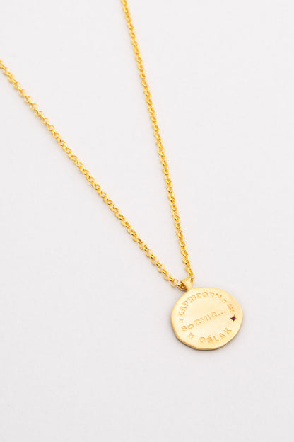 Oğlak Burcu 18 Ayar Sarı Altın Kaplama 45 Cm  Gümüş Kolye 07310497244