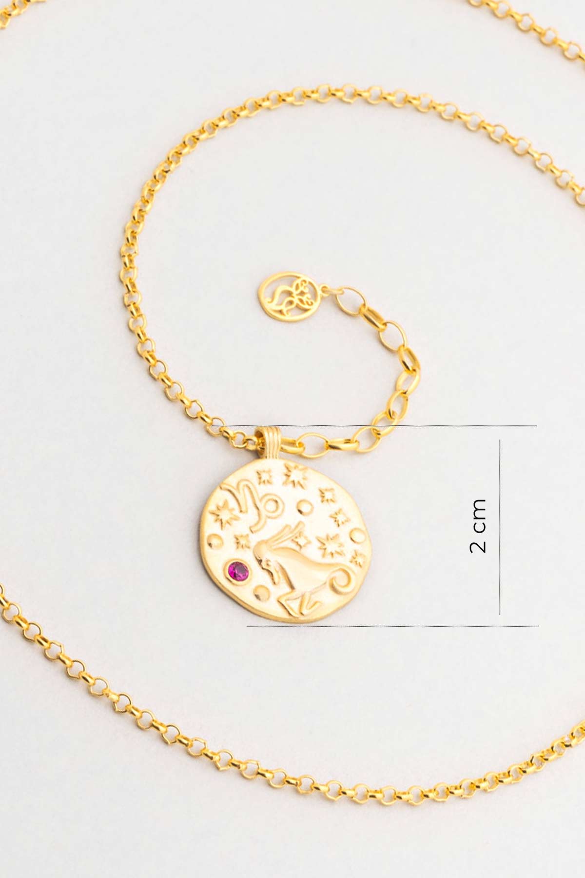 Oğlak Burcu 18 Ayar Sarı Altın Kaplama 45 Cm  Gümüş Kolye 07310497244