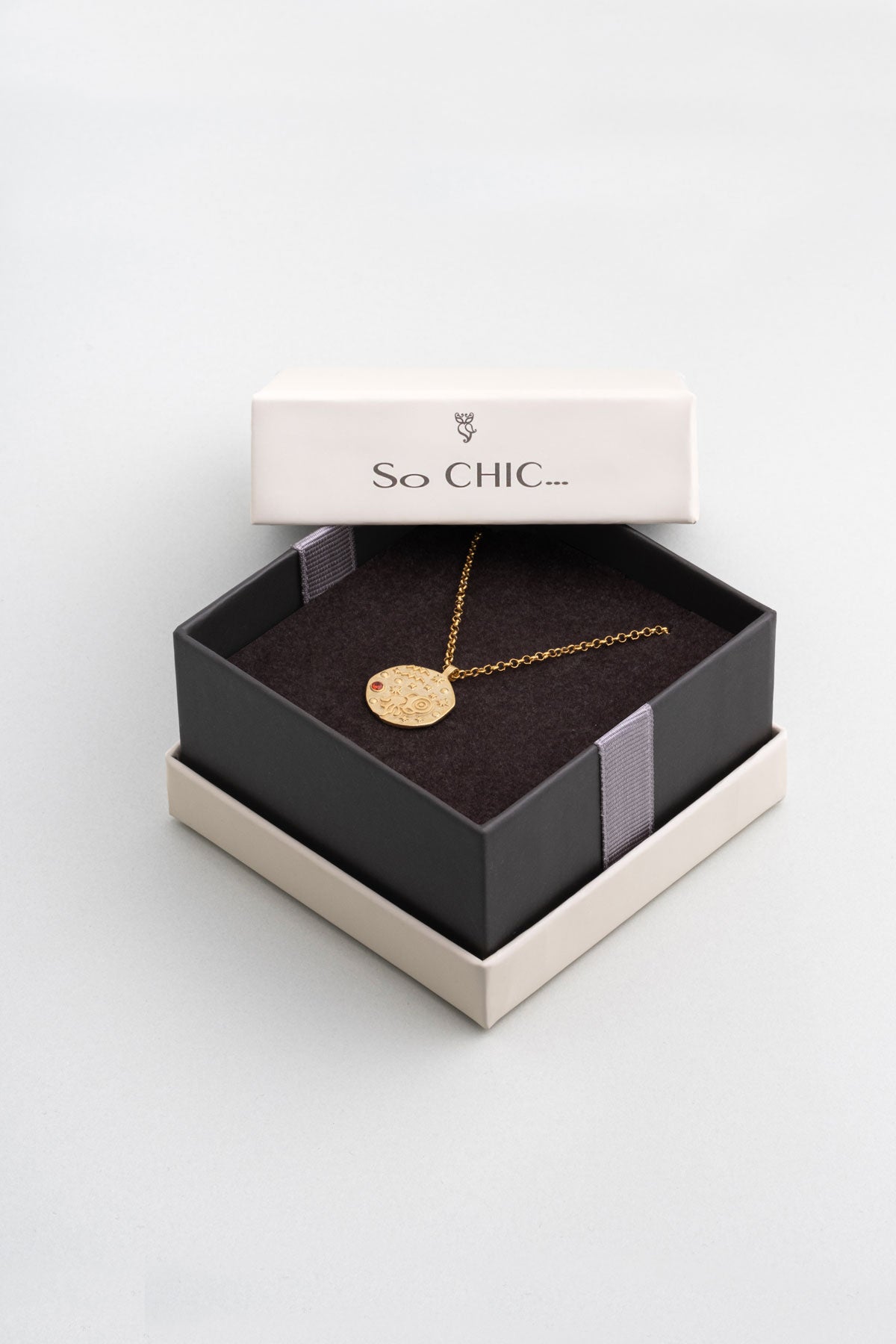 Kova Burcu 18 Ayar Sarı Altın Kaplama 45 Cm Gümüş Kolye 07310500844