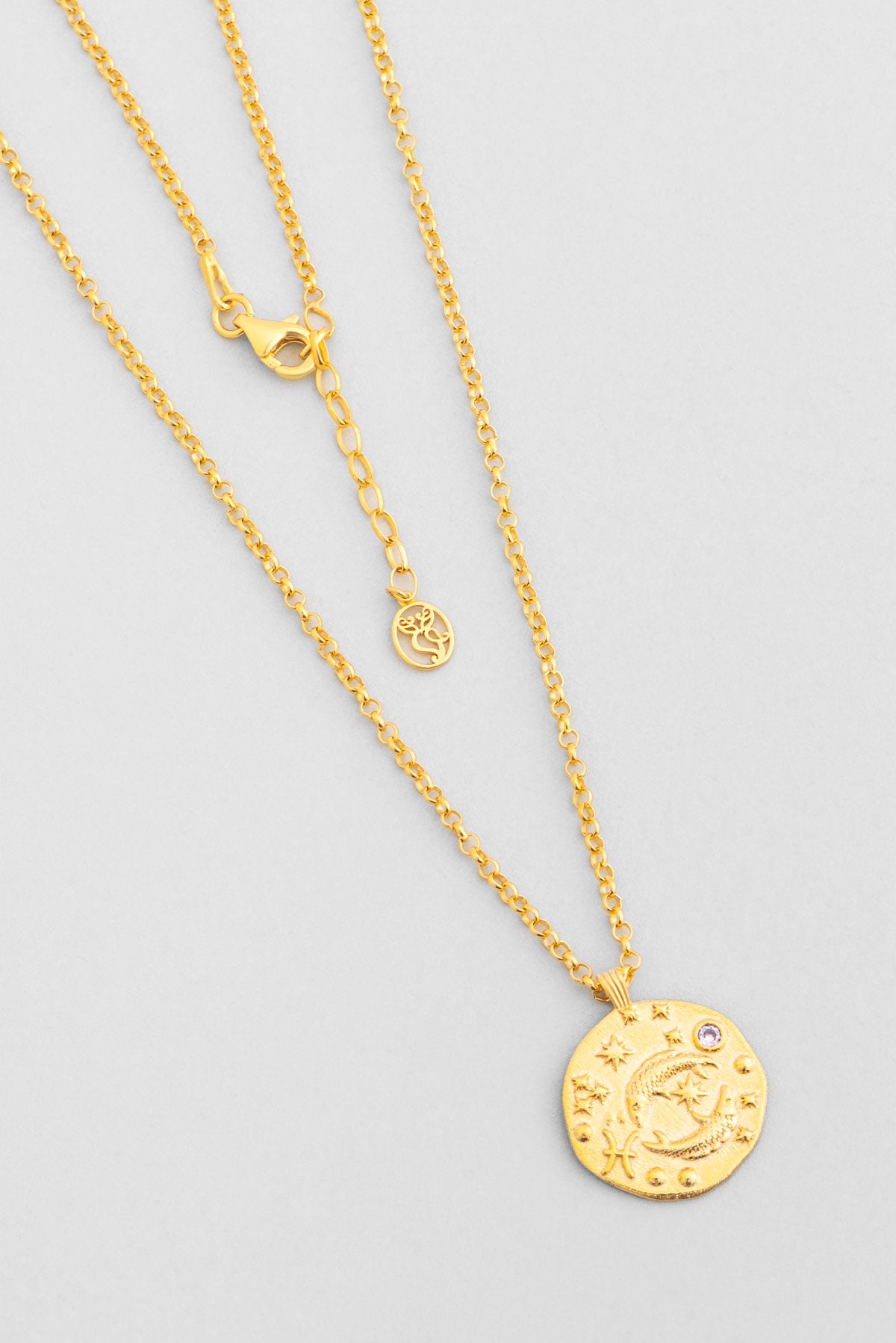 Balık Burcu 18 Ayar Sarı Altın Kaplama 45 Cm Gümüş Kolye 07310510344