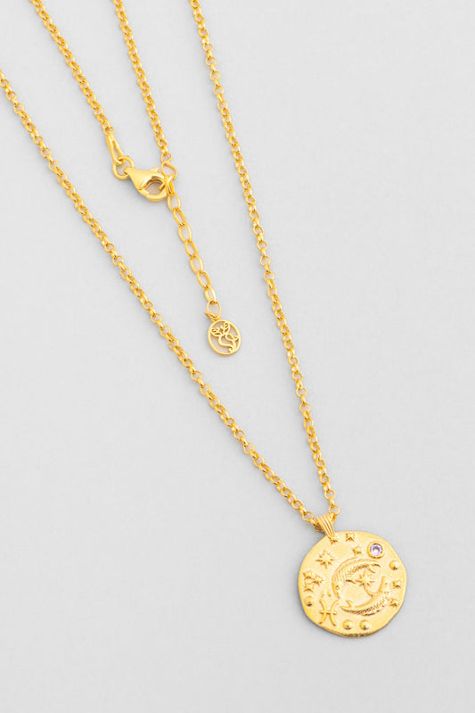 Balık Burcu 18 Ayar Sarı Altın Kaplama 45 Cm Gümüş Kolye 07310510344