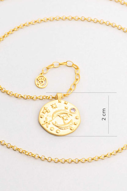 Balık Burcu 18 Ayar Sarı Altın Kaplama 45 Cm Gümüş Kolye 07310510344