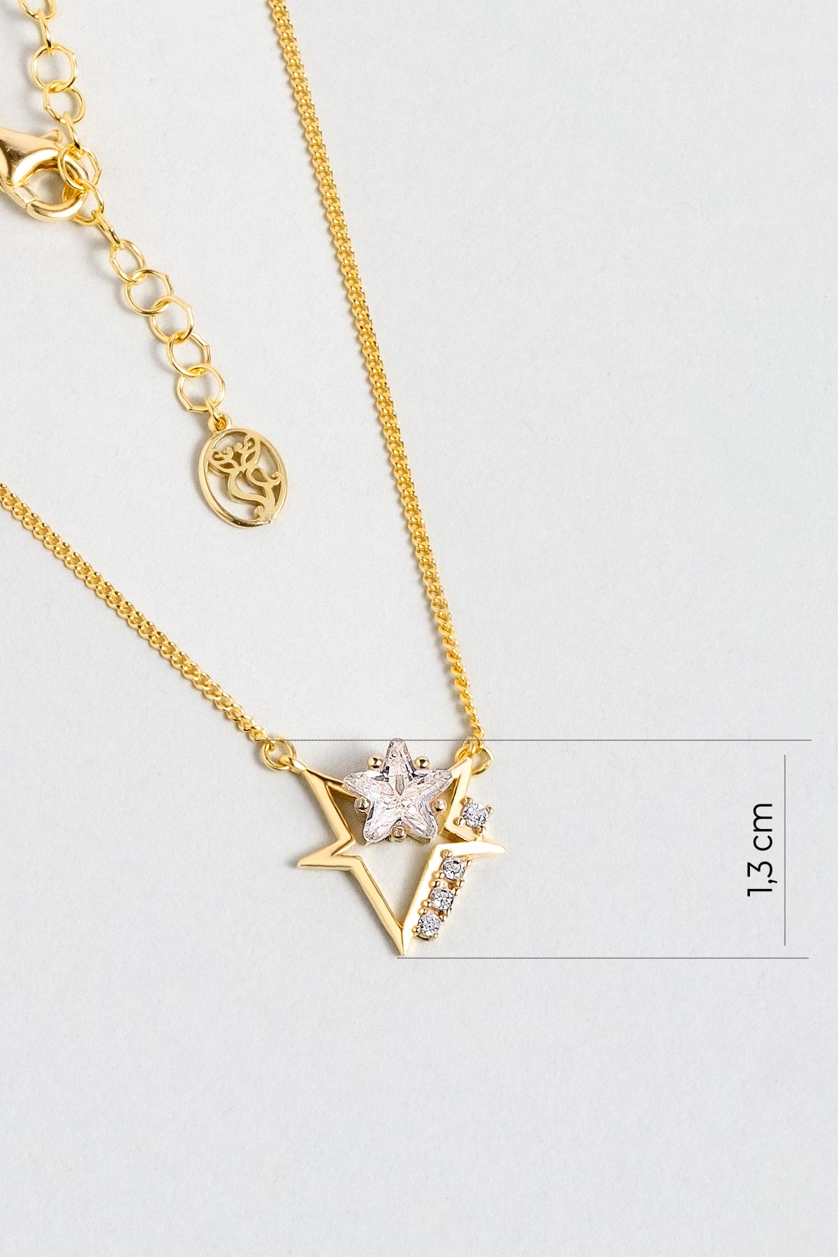 Gece Yıldızı 18 Ayar Sarı Altın Kaplama 46 Cm Gümüş Kolye 07312010144