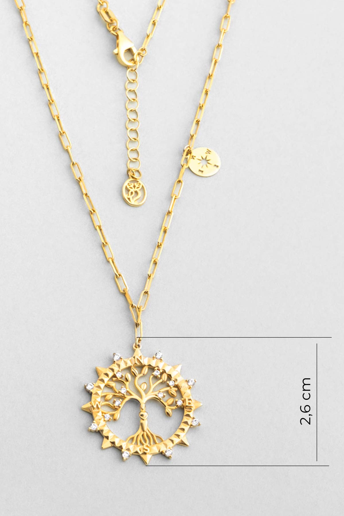 Hayat Işığı 18 Ayar Sarı Altın Kaplama 53 Cm Gümüş Kolye 07313020144