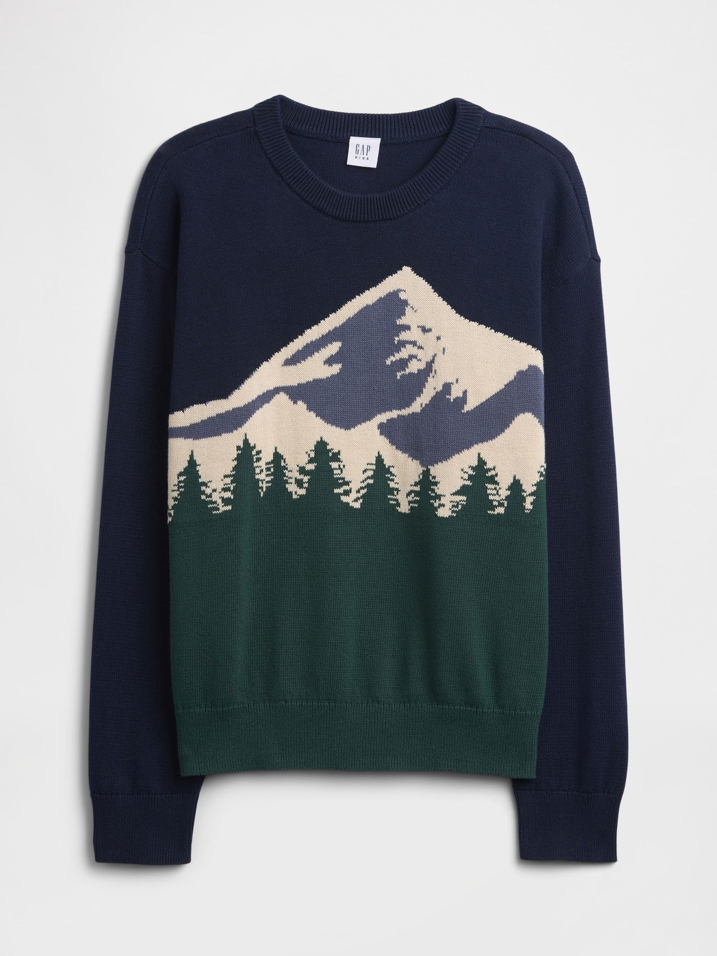 Lacivert Intarsia Kazak