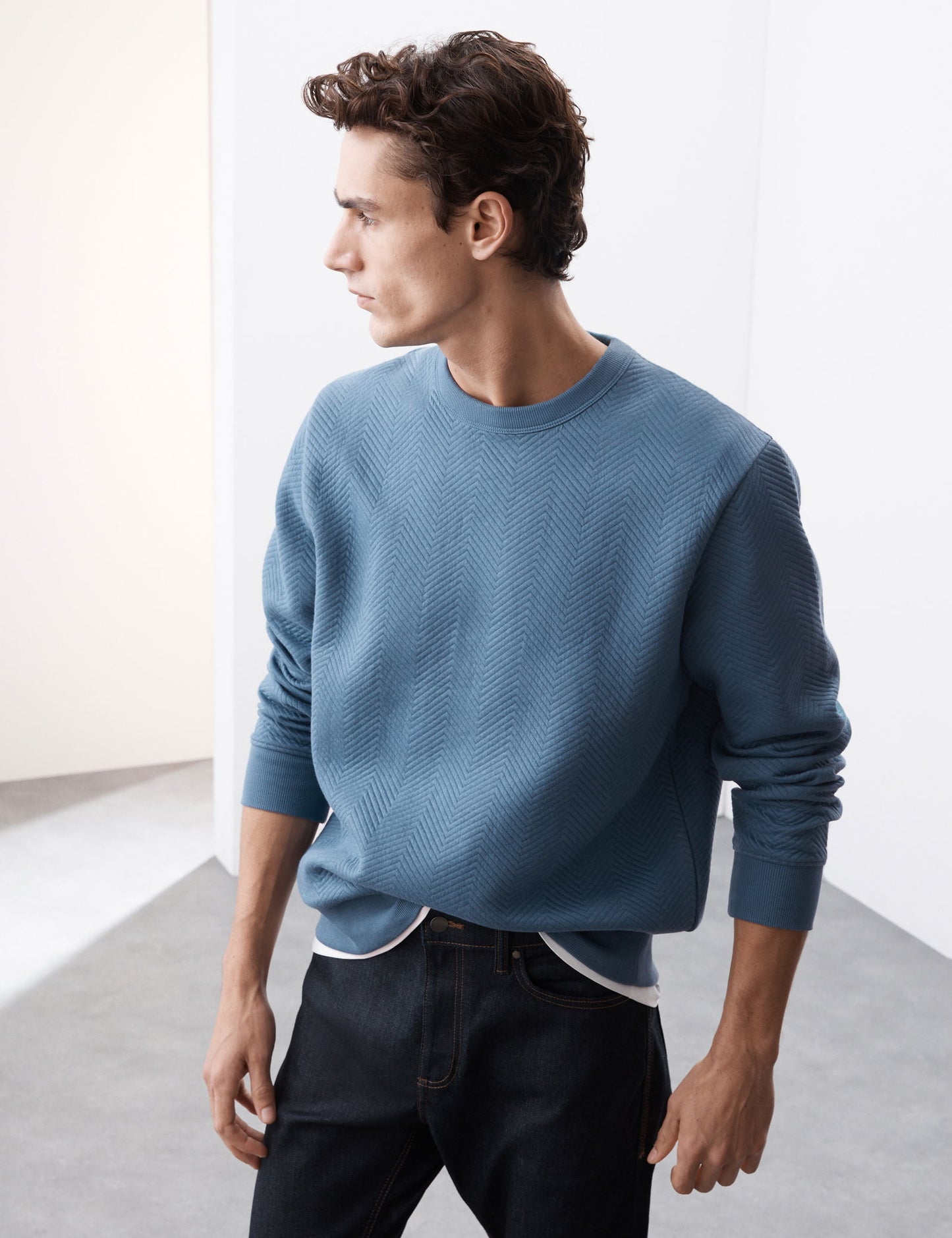 Saf Pamuklu Regular Fit Sweatshirt
