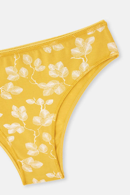 Karışık Karışık Kadın 2'li Pamuklu Brazıllıan