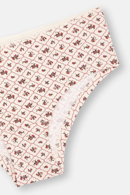 Ekru-kırmızı-sütlü Kahve Kadın 3'lü Desenli Hıpster Külot