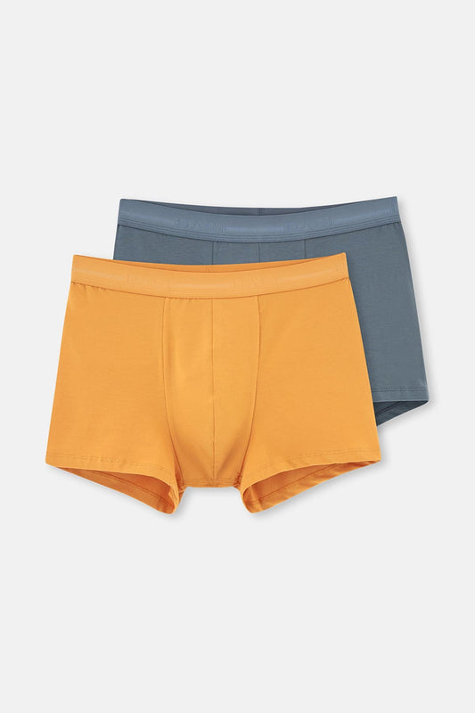 Hardal Basic Pamuk 2'li Boxer