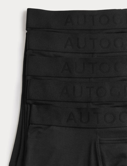 Autograph 5’li Yatay Trunk