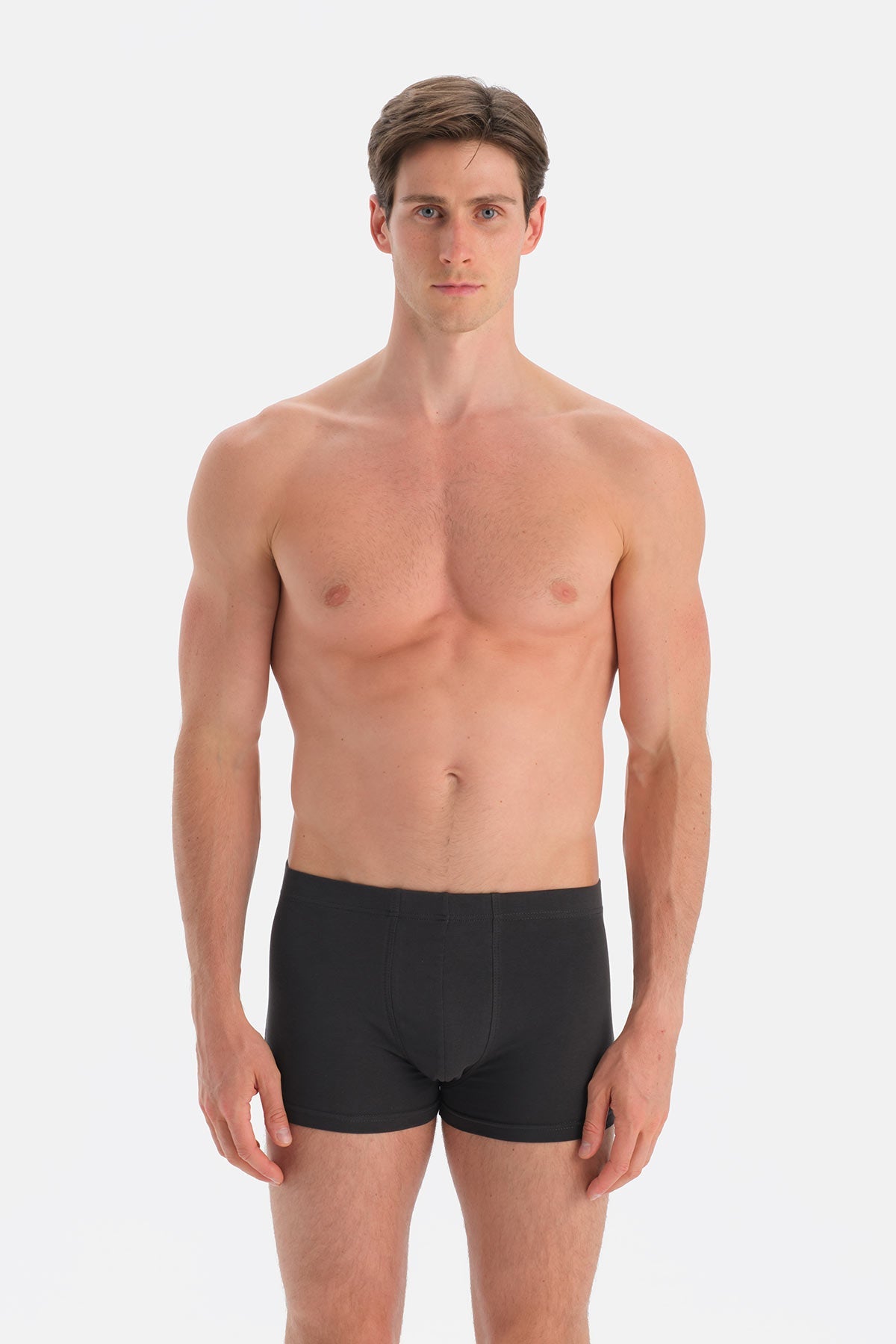 Antrasıt Kumaş Kaplama Basic Boxer