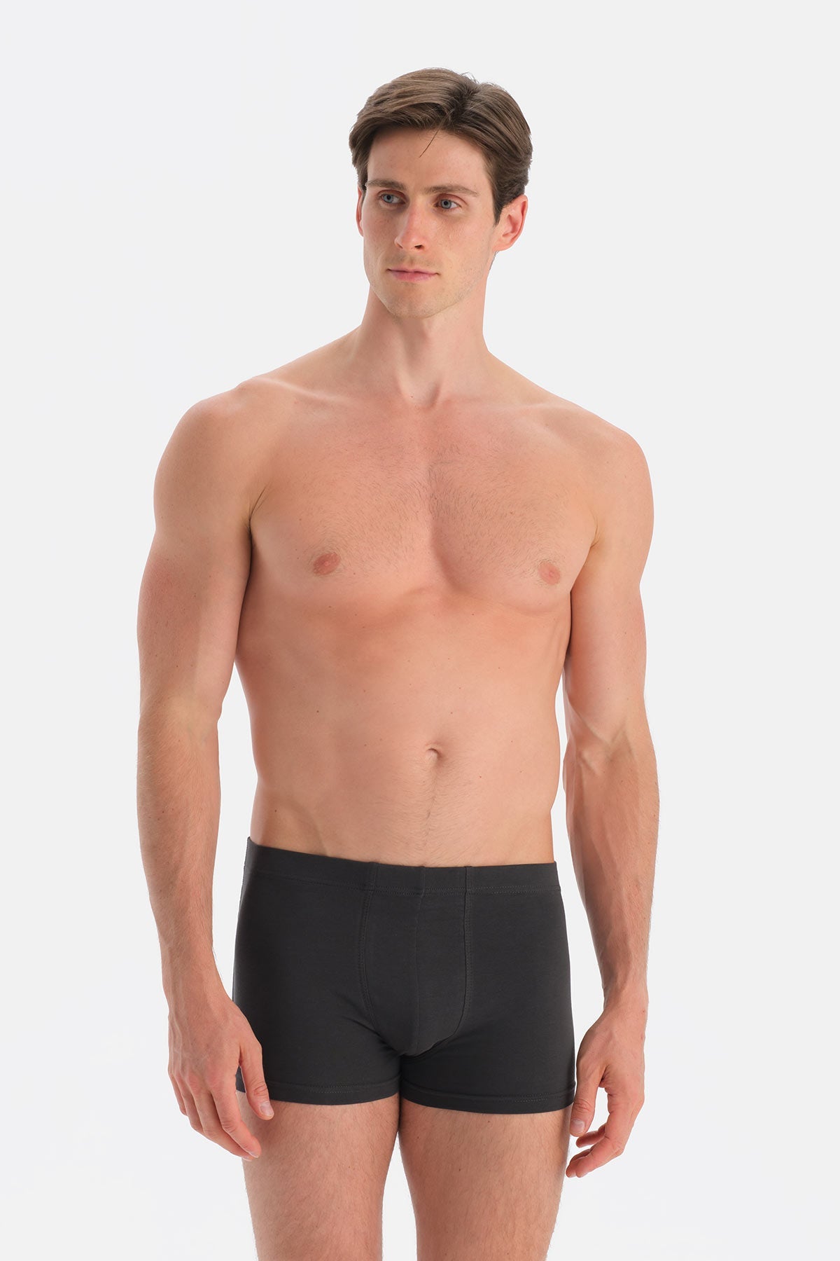 Antrasıt Kumaş Kaplama Basic Boxer